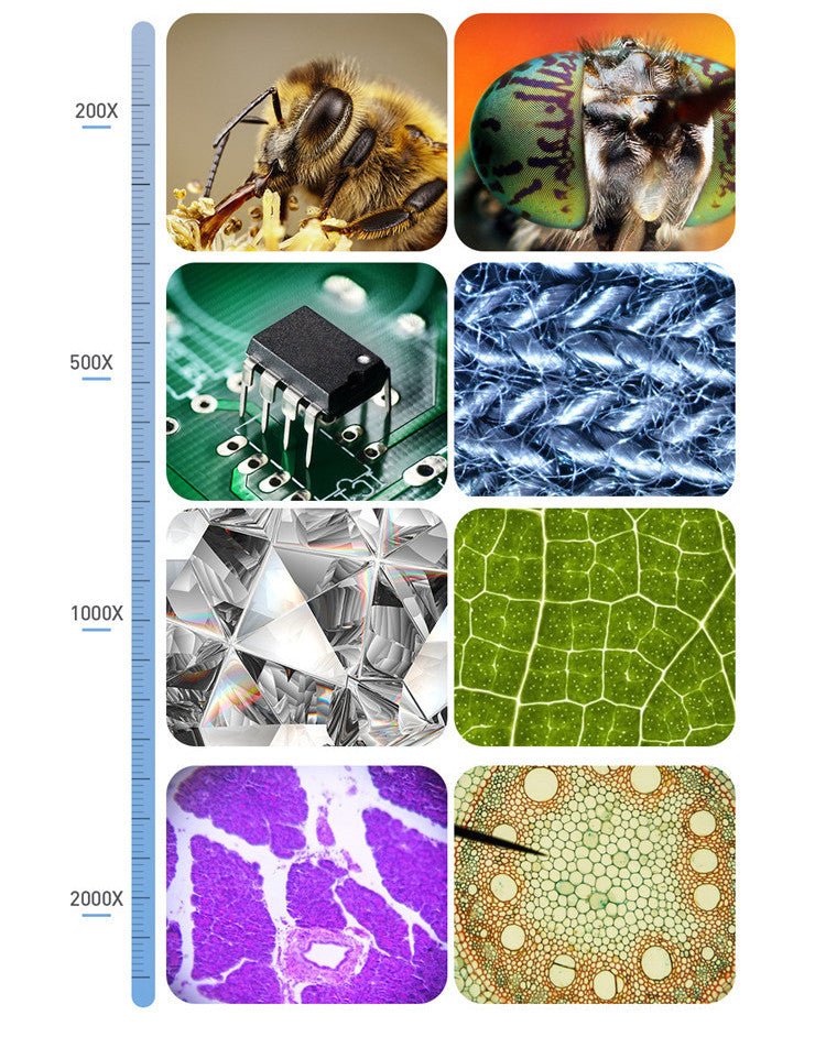 HD 7-inch Digital Microscope & Portable Magnifier - Mayon Finds