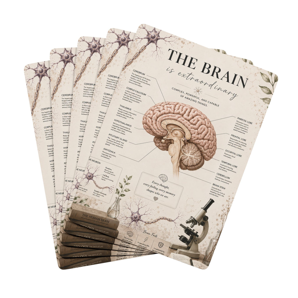 Custom Printed Anatomical Brain Poker Playing Cards – Vintage Medical Illustration Card Deck