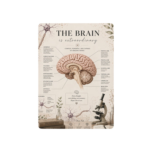 Custom Printed Anatomical Brain Poker Playing Cards – Vintage Medical Illustration Card Deck